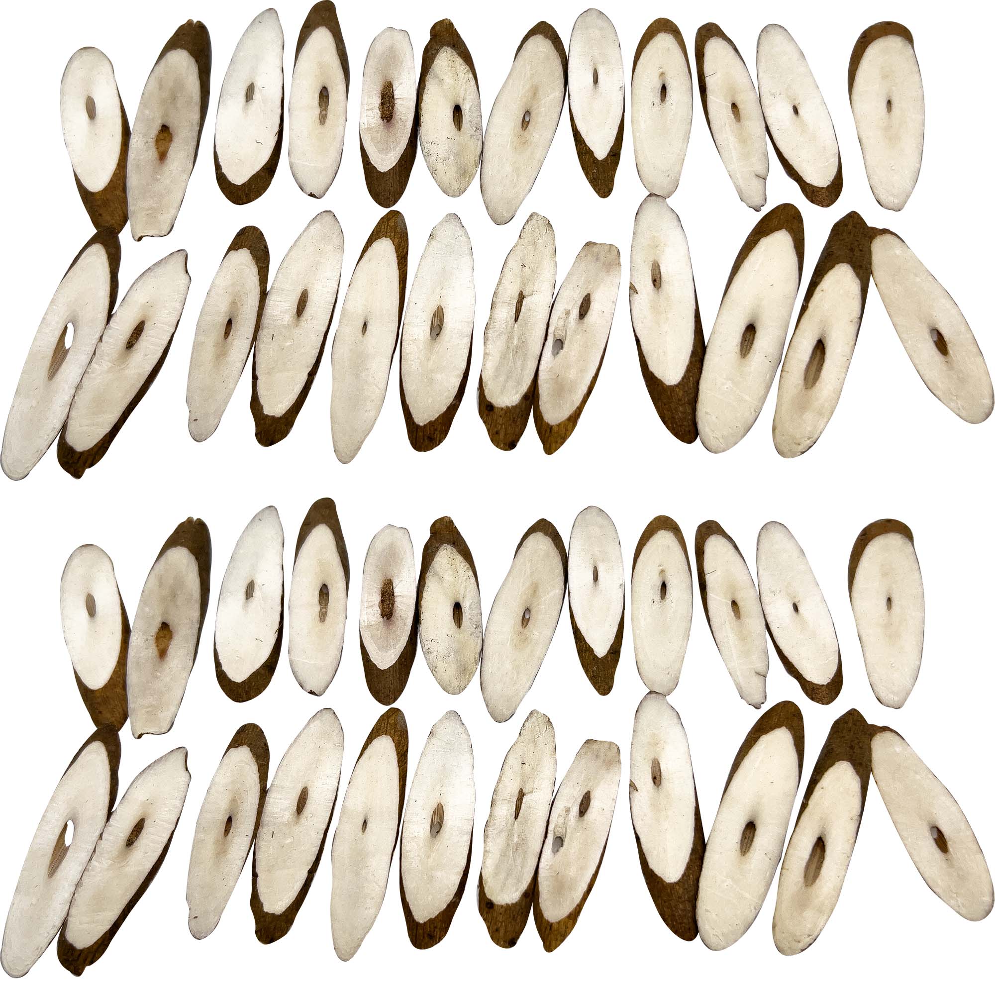 5005 Sola Slicers