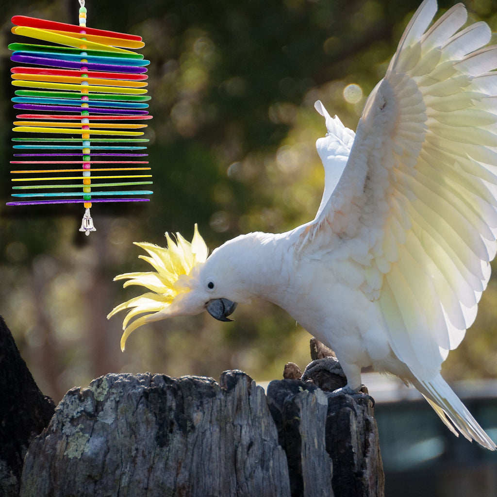 1112 Rainbow Stick Chewer