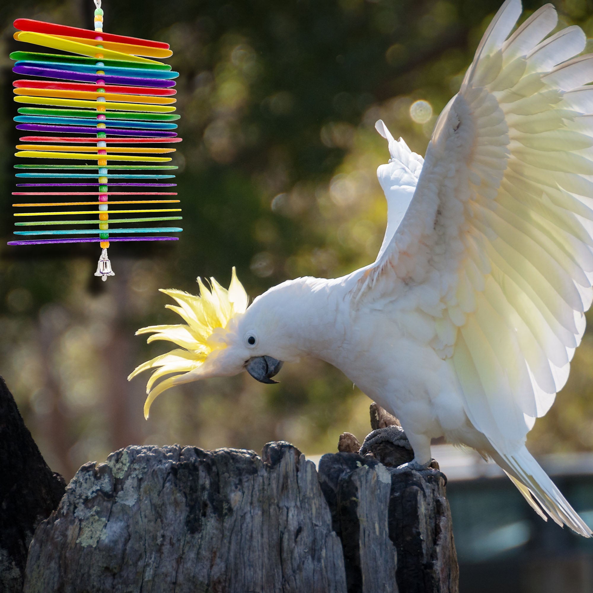 1112 Rainbow Stick Chewer