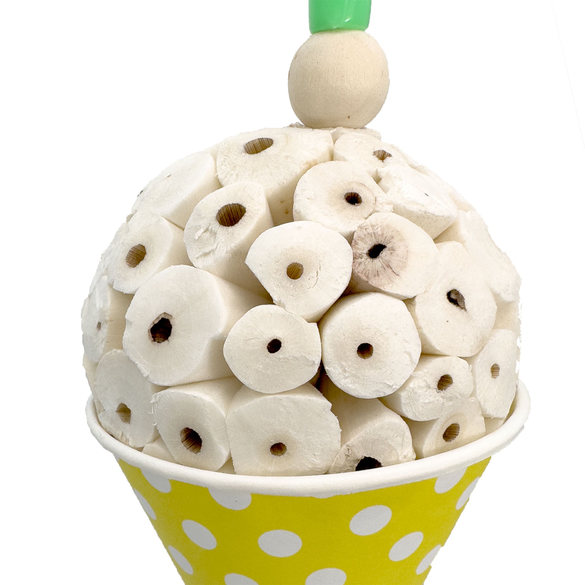 1556 Sola Snowcone