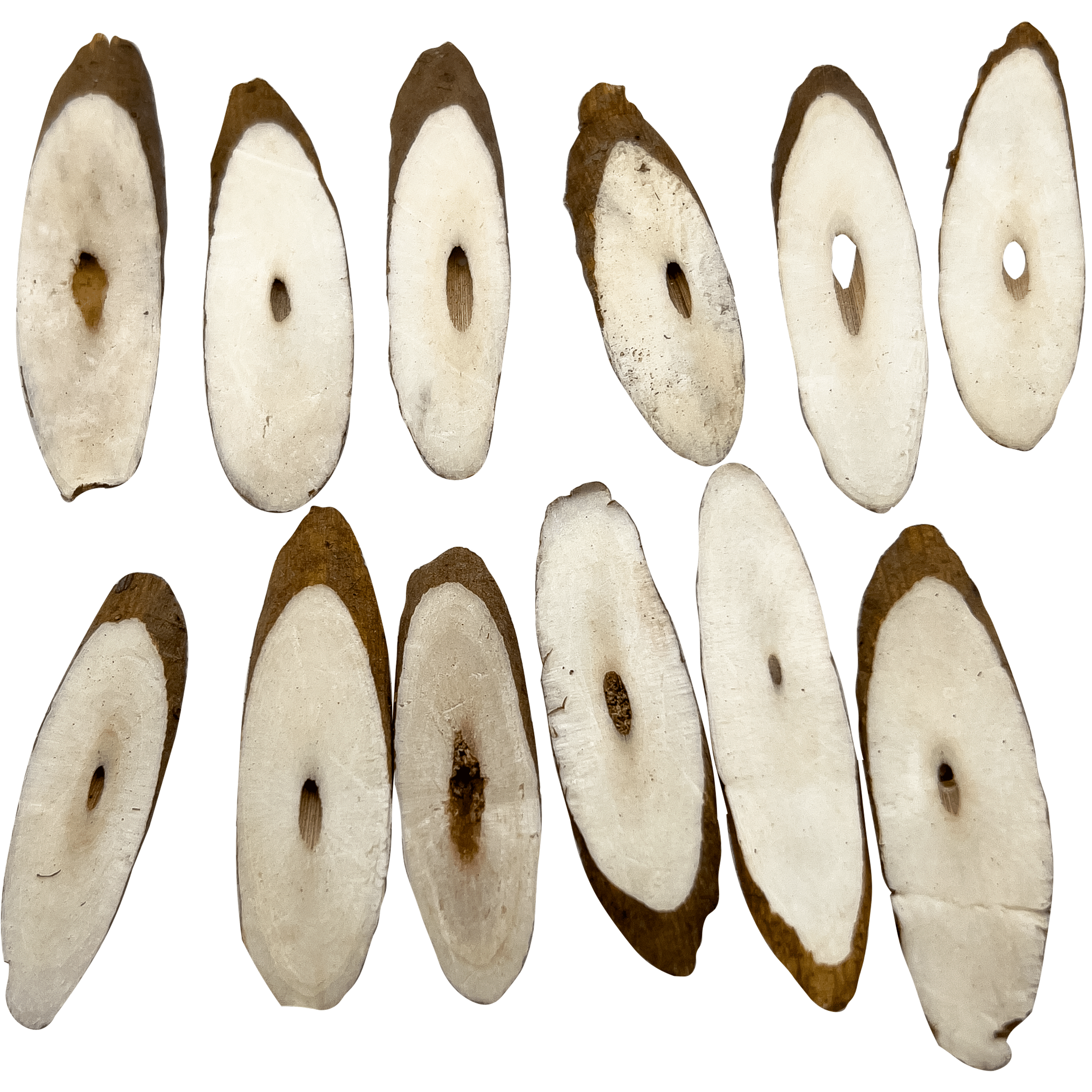 5005 Sola Slicers