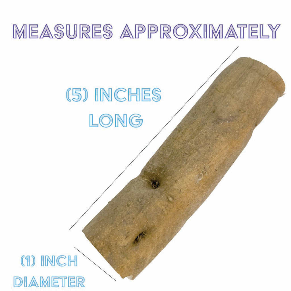 5504 Sola Skin Log