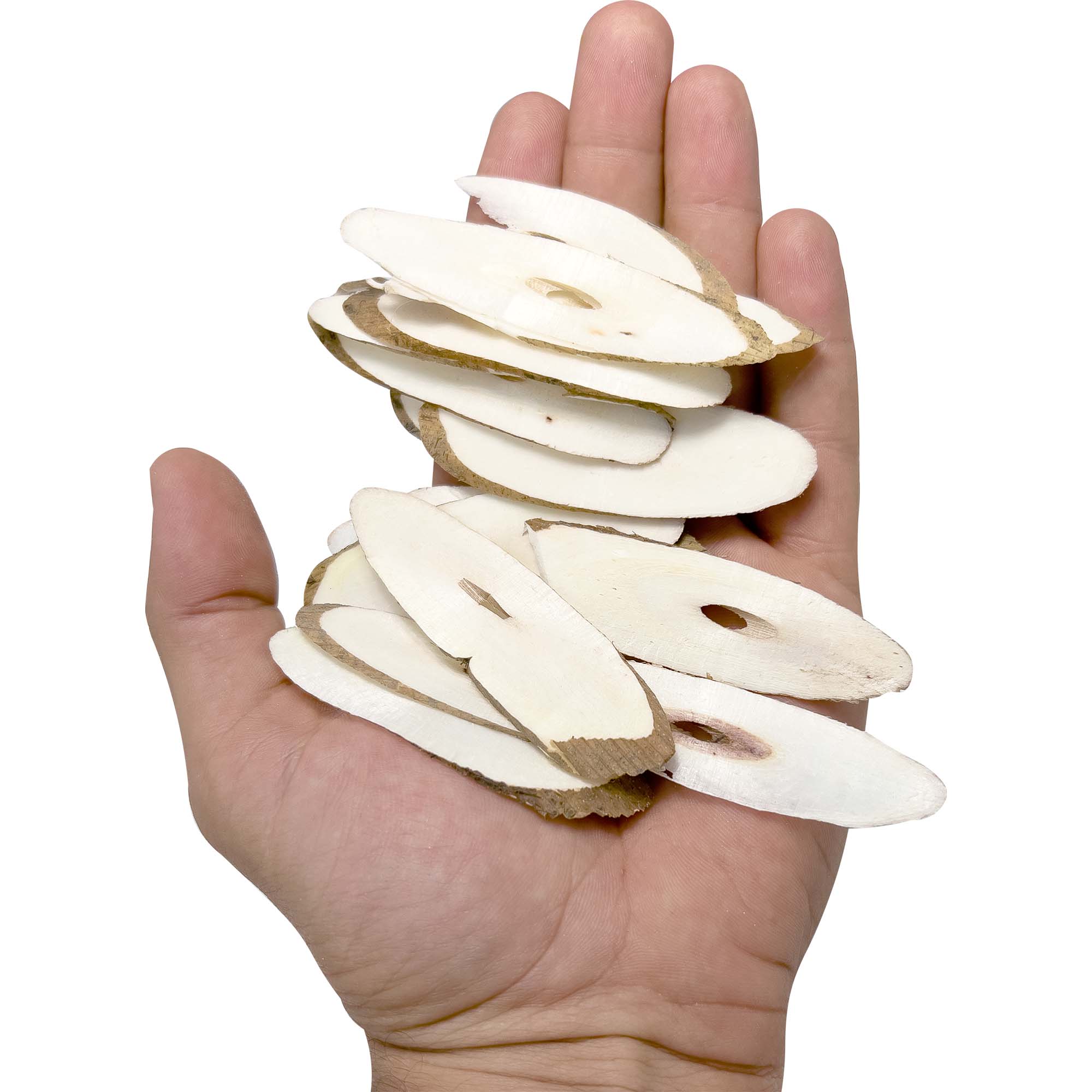 5005 Sola Slicers